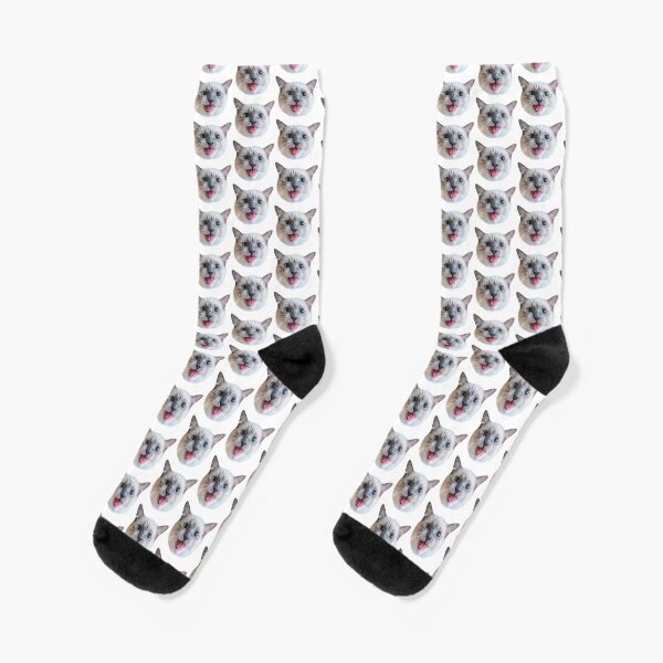 Crazy Ragdoll cat Socks