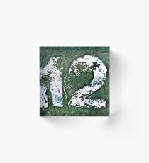 Dirty Dozen Acrylic Block