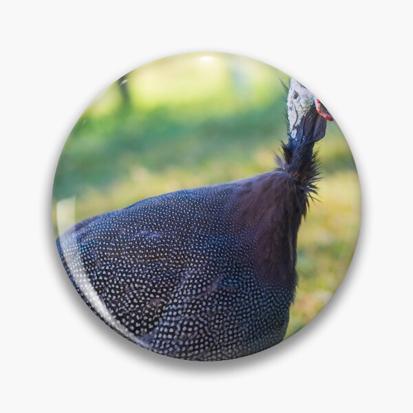 Item preview, Helmeted Guinea looking at you designed and sold by noblephoto.