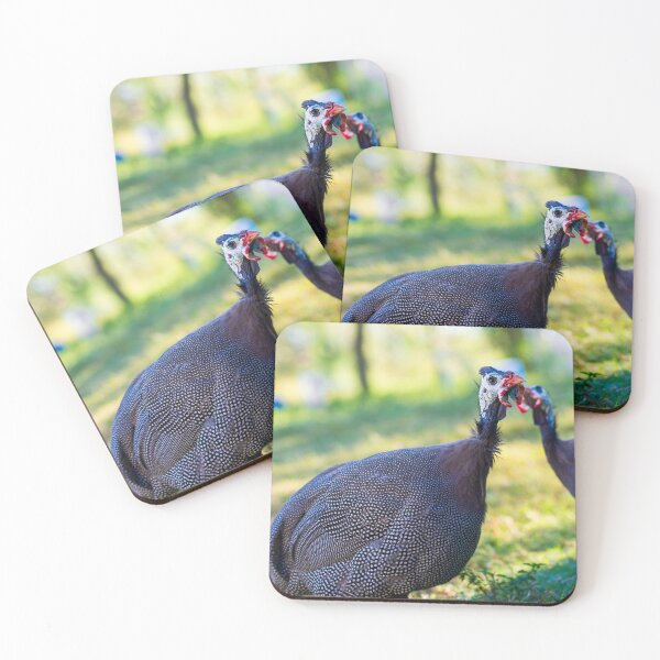 Item preview, Helmeted Guinea looking at you designed and sold by noblephoto.