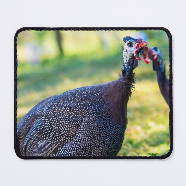 Item preview, Helmeted Guinea looking at you designed and sold by noblephoto.