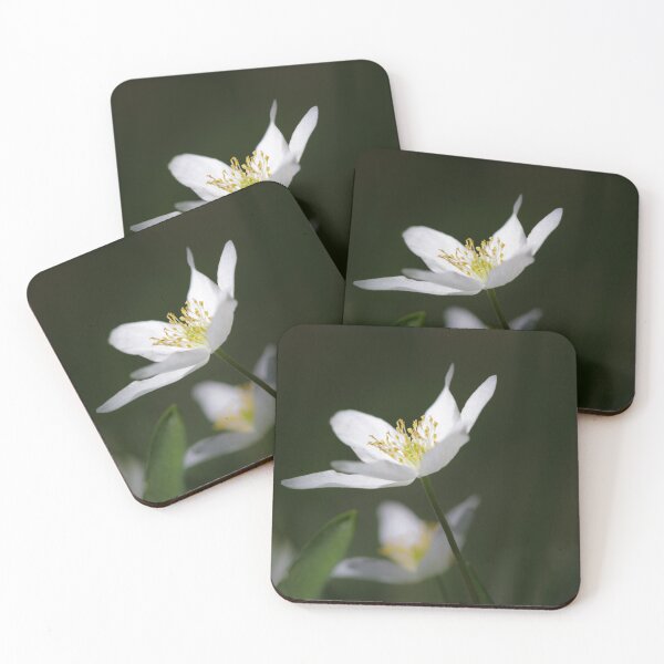 Item preview, Wood Anemone designed and sold by heidipics.