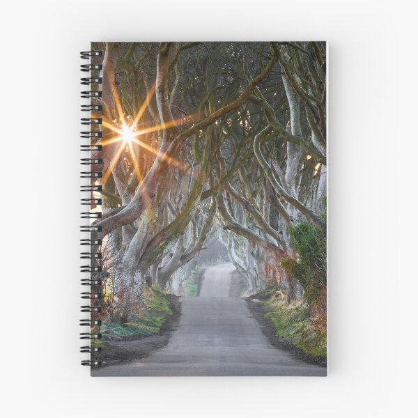 Item preview, The Dark Hedges / County Antrim / Northern Ireland designed and sold by Zdrojewski.
