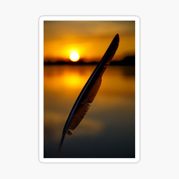 Feather in sunset Sticker