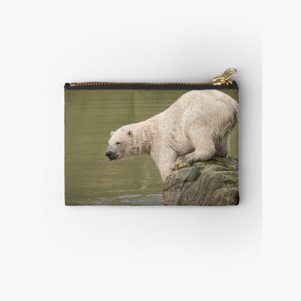 Item preview, Wet polar bear designed and sold by alan tunnicliffe.
