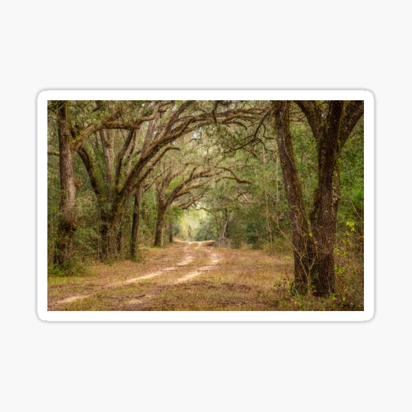 Item preview, Dirt Road in Florida designed and sold by Ron Bennett.