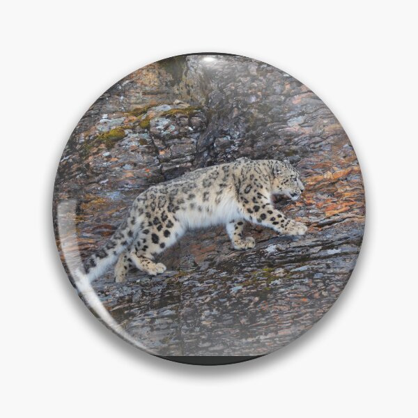 Item preview, Snow Leopard on rocky ledge designed and sold by James Cumming.
