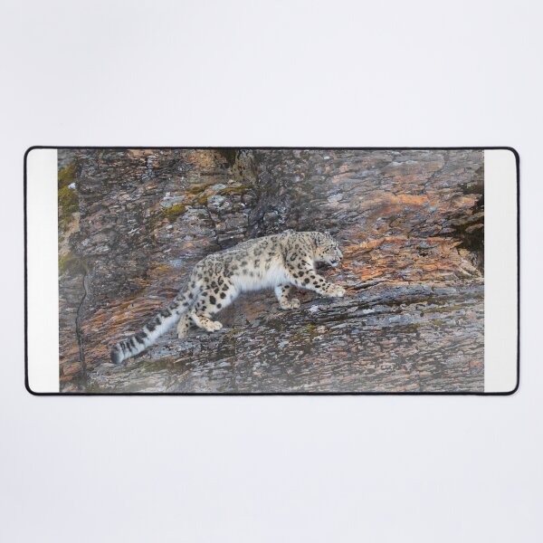 Item preview, Snow Leopard on rocky ledge designed and sold by James Cumming.