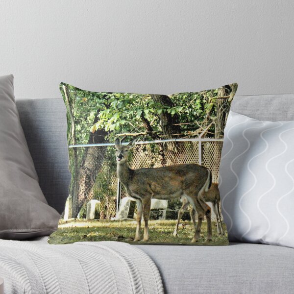 Item preview, " 'THE CEMETERY', a Series, #16, Nothin' Like Lunch at the Local Cemetery"... prints and products designed and sold by Bob Hall©.