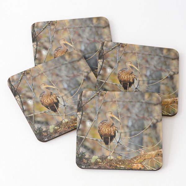 Item preview, Color Me Limpkin designed and sold by Dead-Moroz.