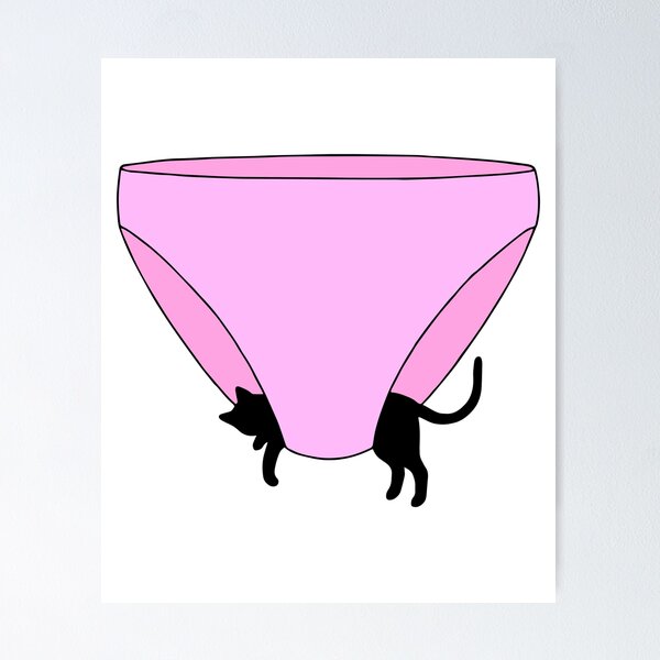 Cute Pink Cat Women's T-Back Thong No Show Underwear Panties Funny