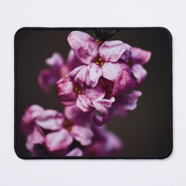 Item preview, Winter flower designed and sold by KTFoto.
