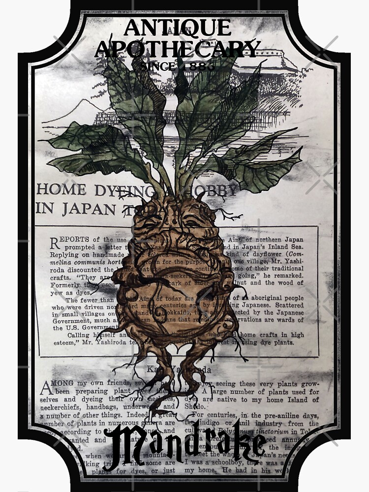 "MANDRAKE APOTHECARY LABEL" Sticker by wadee Redbubble