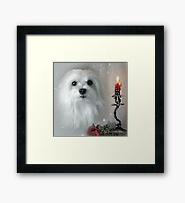 Snowdrop the Maltese - The Light in my Life ! Framed Print