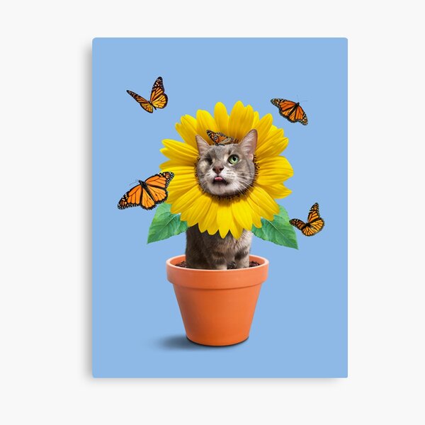 You are my sunshine lyrics sunflower cat meow poster canvas