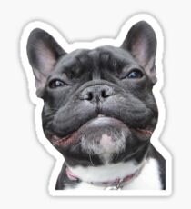 Frenchie Smile Sticker