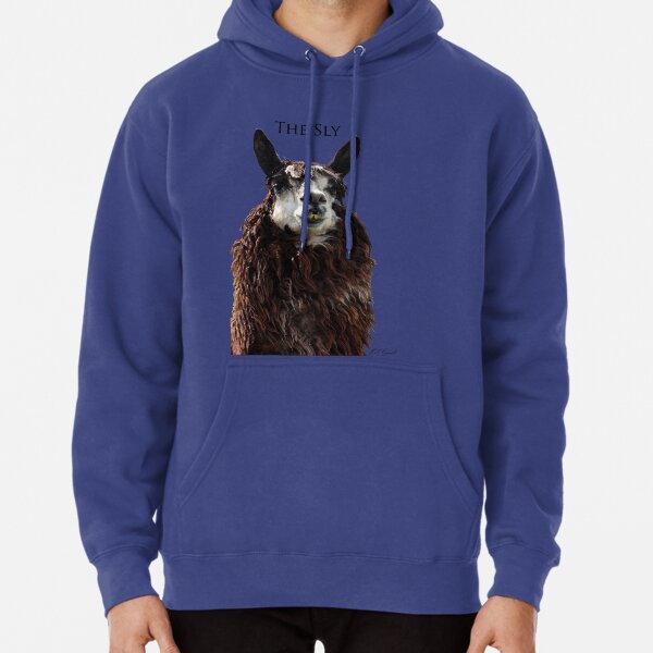 The Sly Pullover Hoodie