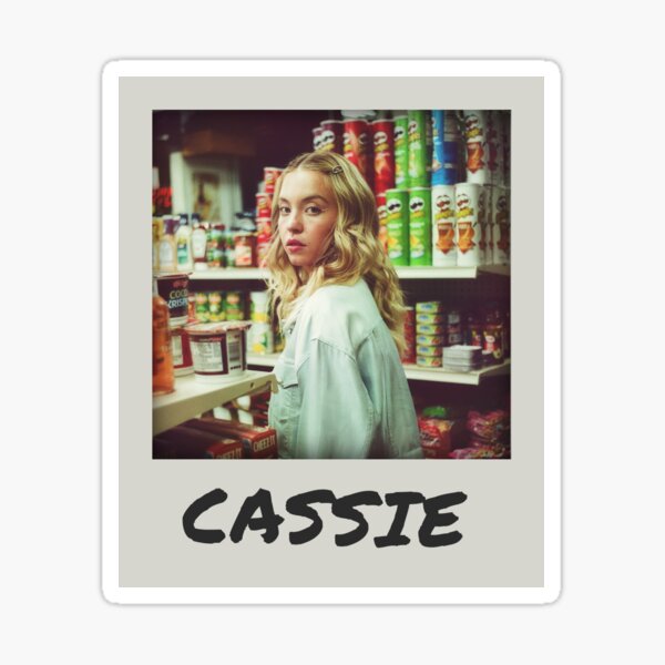 Cassie Polaroid Sticker By Bandagan Redbubble