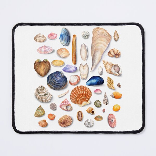Item preview, Watercolor Seashell Collection designed and sold by AmandaDilworth.
