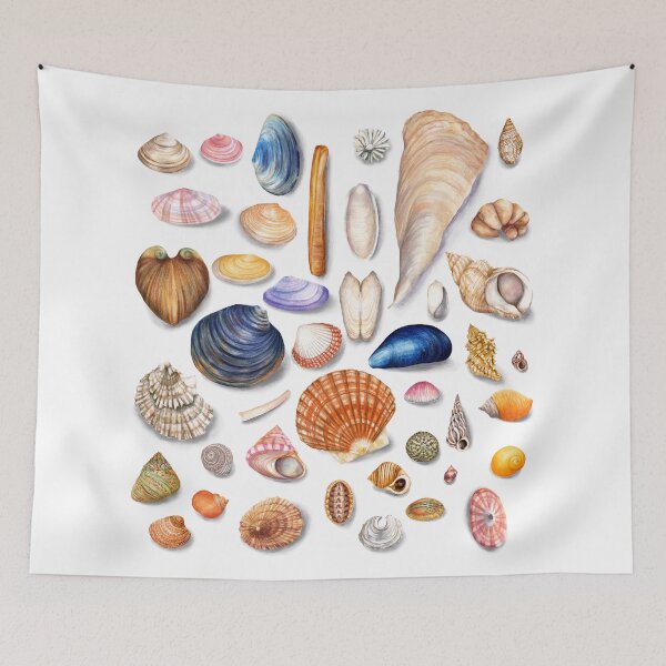 Item preview, Watercolor Seashell Collection designed and sold by AmandaDilworth.