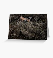 5.11.2014: Car in Well Greeting Card