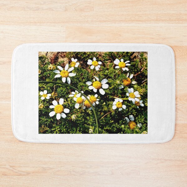 Item preview, Gozo Island Chamomile flowers designed and sold by Landreorama.