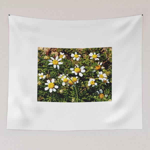 Item preview, Flores de manzanilla de la isla de Gozo designed and sold by Landreorama.