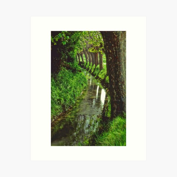 Line of Trees and Canal Art Print