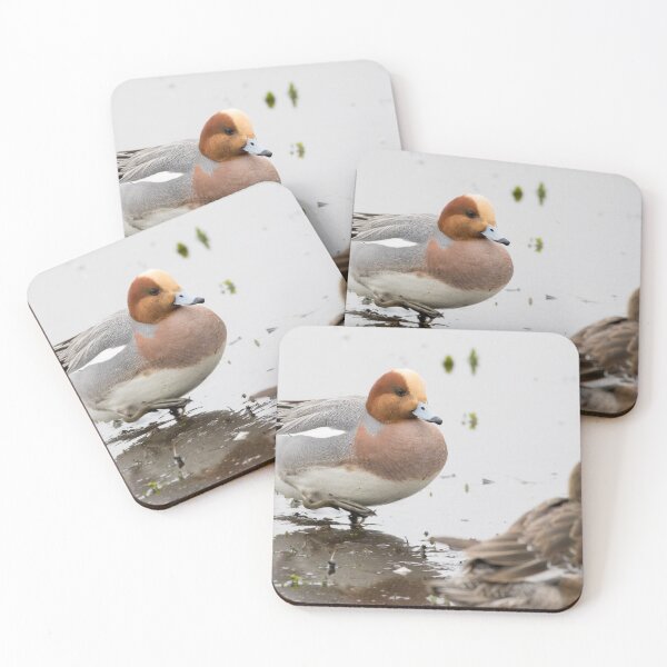 Item preview, Wigeon designed and sold by LaurenTucker.