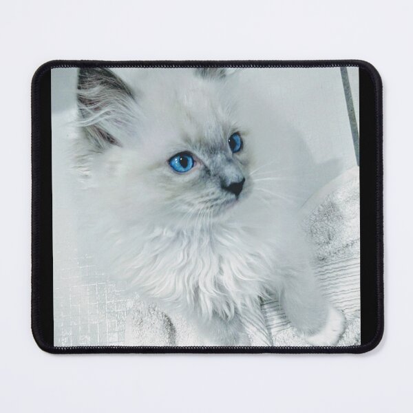 Item preview, Baby ragdoll cat designed and sold by Fluffycat2020.