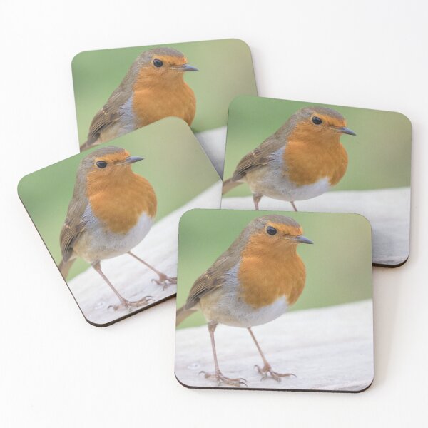 Item preview, Robin designed and sold by LaurenTucker.