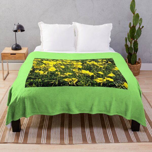 Item preview, Gozo Island yellow flowers designed and sold by Landreorama.
