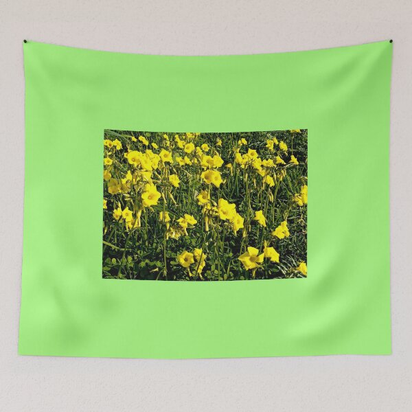 Item preview, Flores amarillas de la isla de Gozo designed and sold by Landreorama.