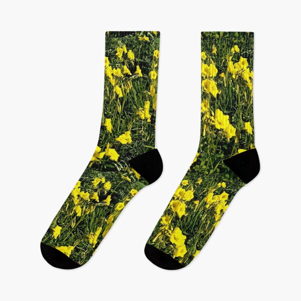 Item preview, Gozo Island yellow flowers designed and sold by Landreorama.
