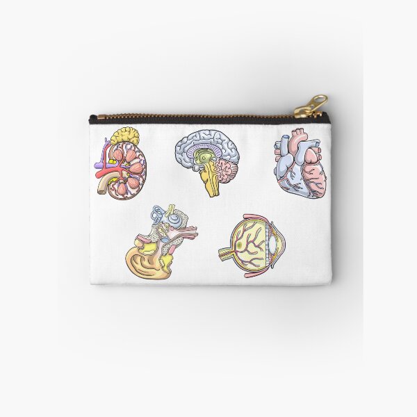 Item preview, Anatomy Illustration Assortment designed and sold by taylorcustom.