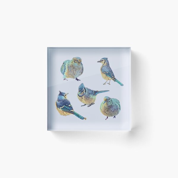 Item preview, Feathered Friends designed and sold by SpotOnJ.