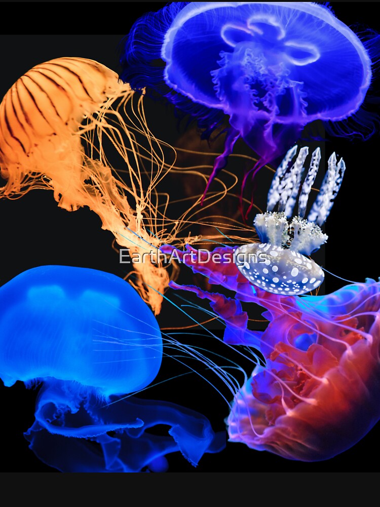 Bright Colorful Digital Photo Collage Jellyfish Design Essential