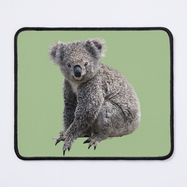 Item preview, Koala bear designed and sold by sibosssr.