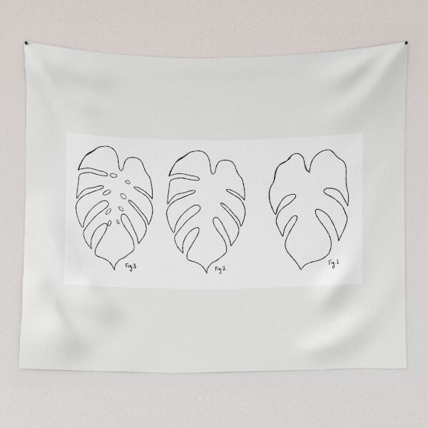 Item preview, Monstera Scientific Figure Sketch designed and sold by meaghano143.