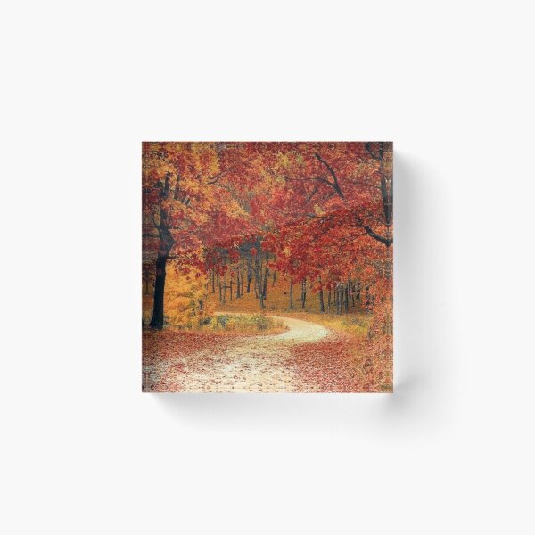 Item preview, Fall I designed and sold by BellaProject.