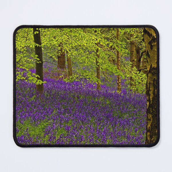 Item preview, Durham Bluebell Woodland designed and sold by Martyn R Arnold Fine Art Nature & Landscape Photography.