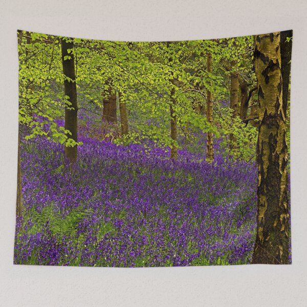 Item preview, Durham Bluebell Woodland designed and sold by Martyn R Arnold Fine Art Nature & Landscape Photography.