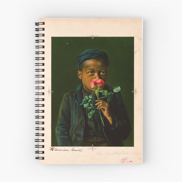 Item preview, American Beauty (1895) designed and sold by allhistory.