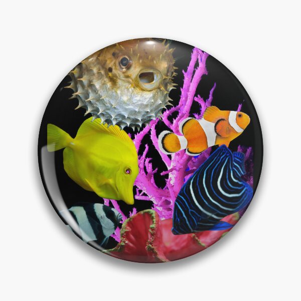 Saltwater Fish Pins and Buttons for Sale