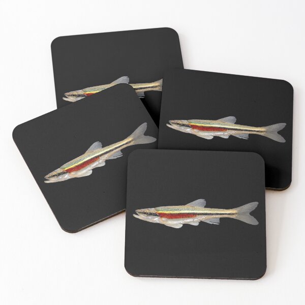 Item preview, Macho Redside Dace (Clinostomus elongatus) designed and sold by BeautifulBait.