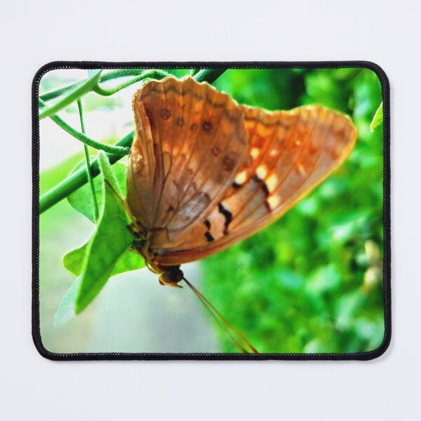 Item preview, Butterfly with green leaf designed and sold by Zen's art shop.