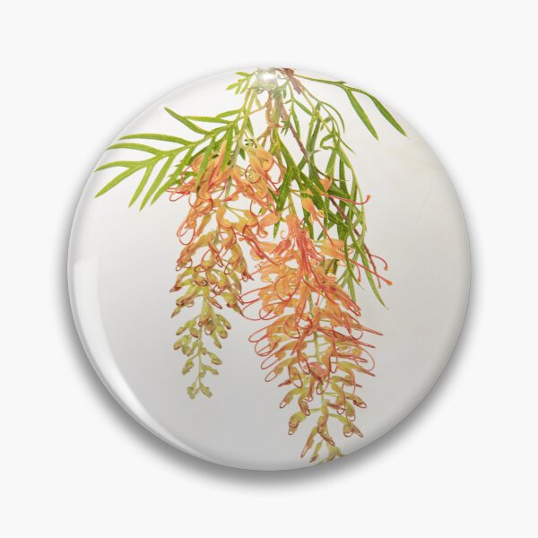 Item preview, Grevillea, 'peaches and cream' designed and sold by Bevlyn.