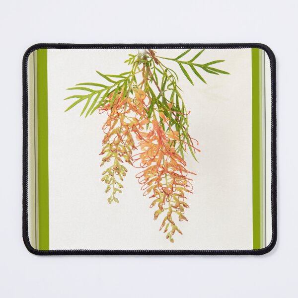 Item preview, Grevillea, 'peaches and cream' designed and sold by Bevlyn.