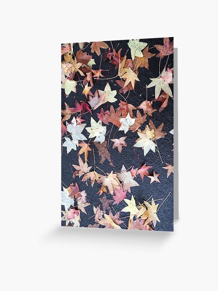 Thumbnail 1 of 2, Greeting Card, Autumn Leaves - Liquidambar styraciflua designed and sold by douglasewelch.