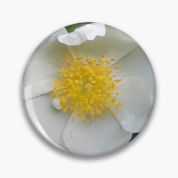 Item preview, Wild Rose designed and sold by amanda150771.